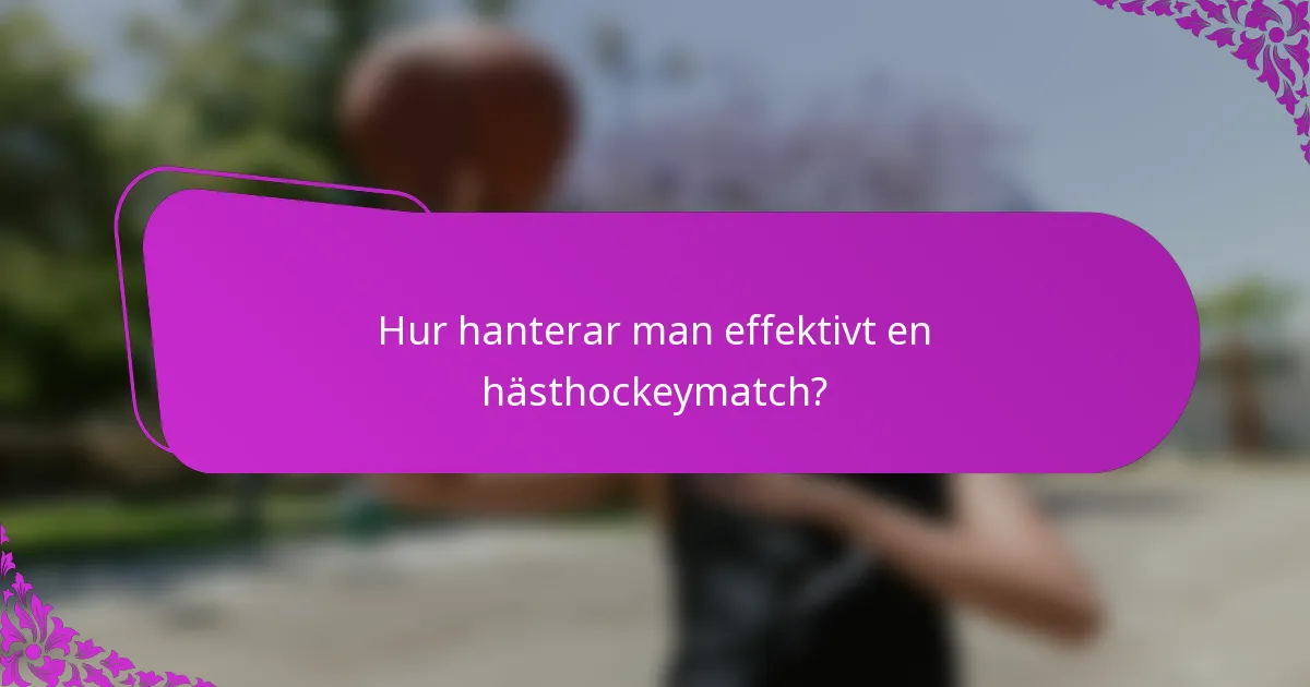 Hur hanterar man effektivt en hästhockeymatch?