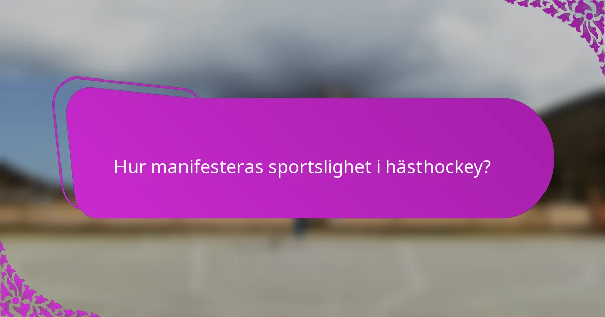 Hur manifesteras sportslighet i hästhockey?