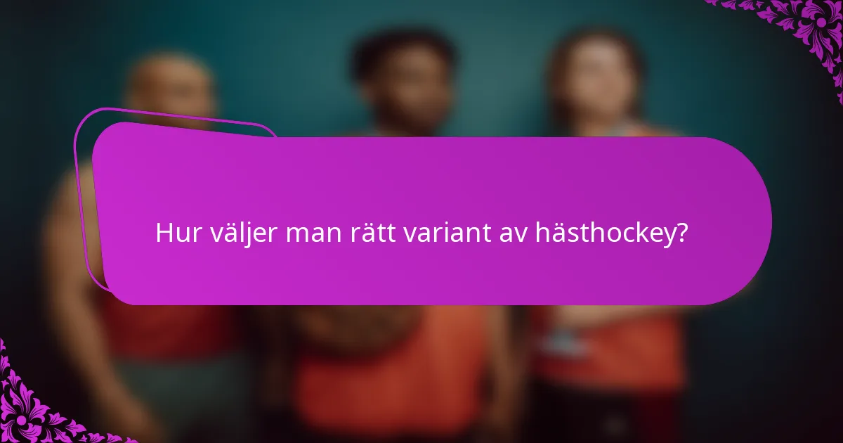 Hur väljer man rätt variant av hästhockey?