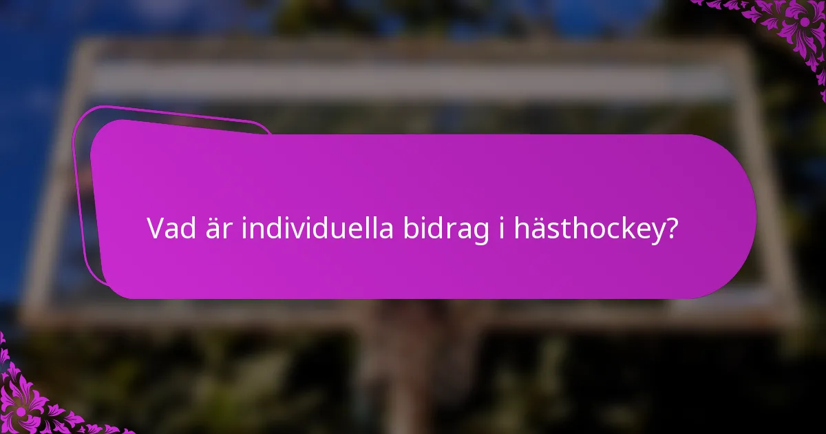 Vad är individuella bidrag i hästhockey?