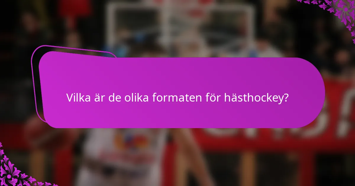 Vilka är de olika formaten för hästhockey?
