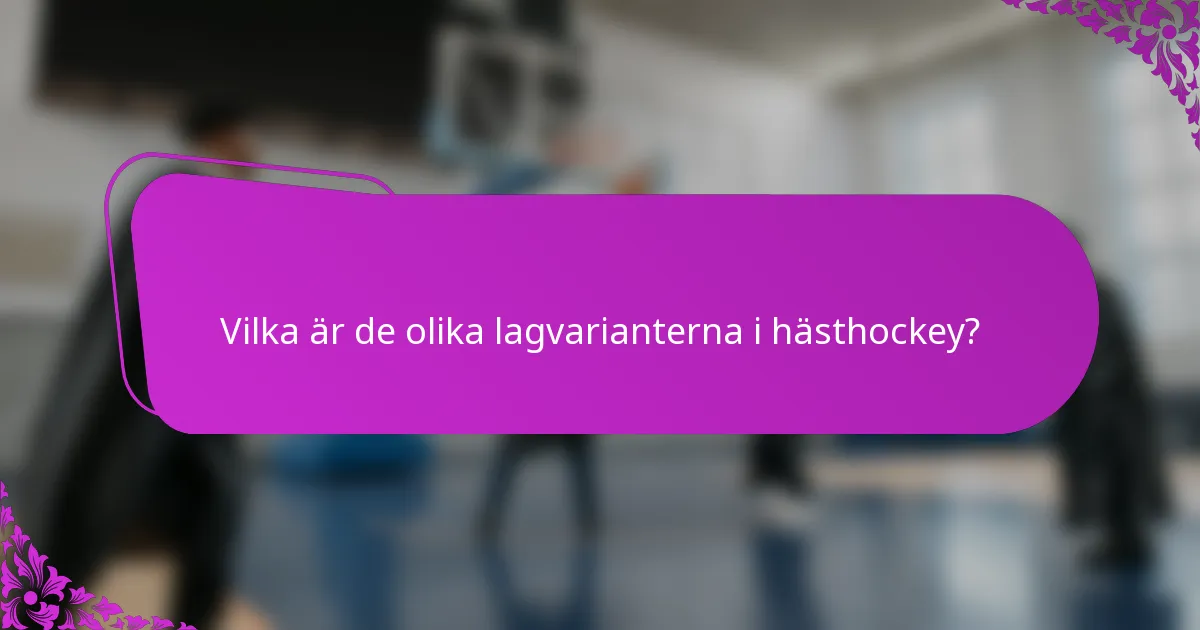 Vilka är de olika lagvarianterna i hästhockey?