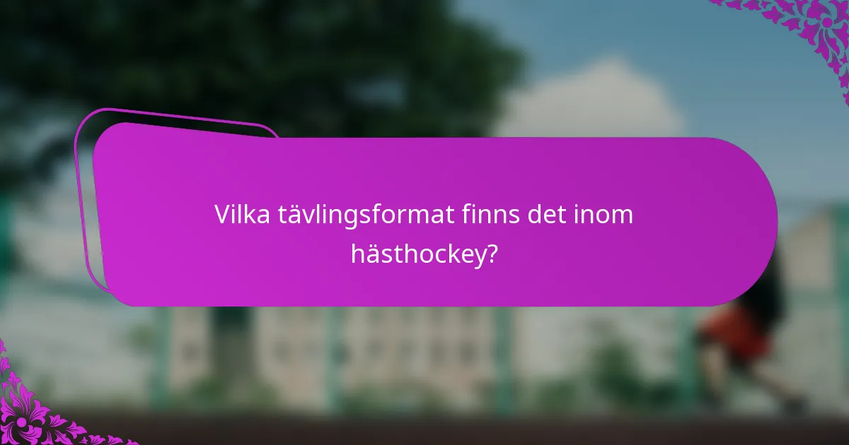 Vilka tävlingsformat finns det inom hästhockey?