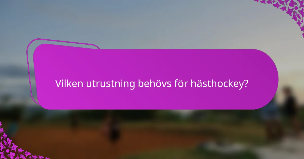 Vilken utrustning behövs för hästhockey?